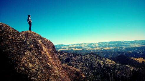 Dragonfly Collector at Pinnacles National Park